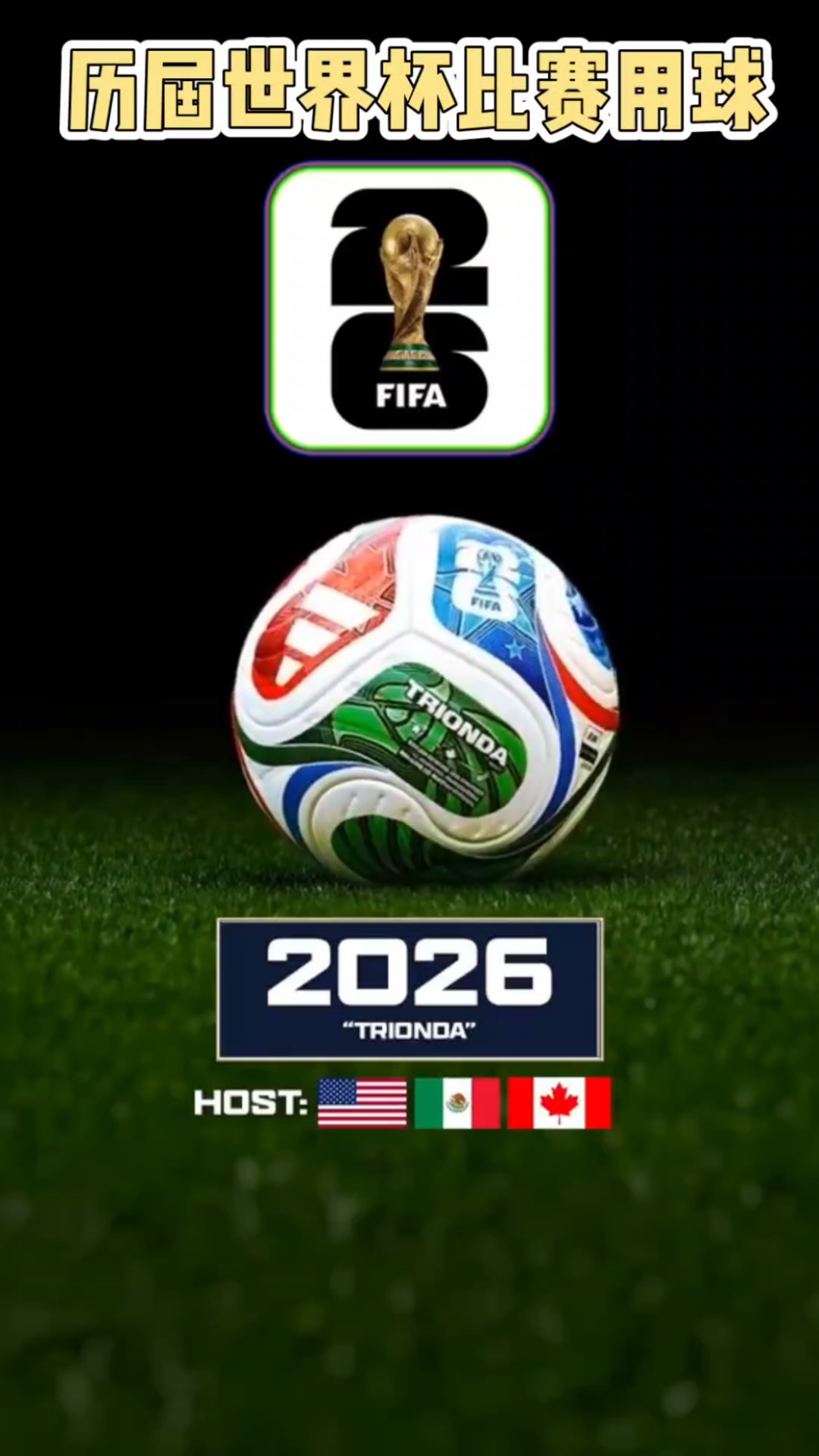 射门时致弗朗西斯重伤，田中碧被换下后立即找到加纳主帅道歉